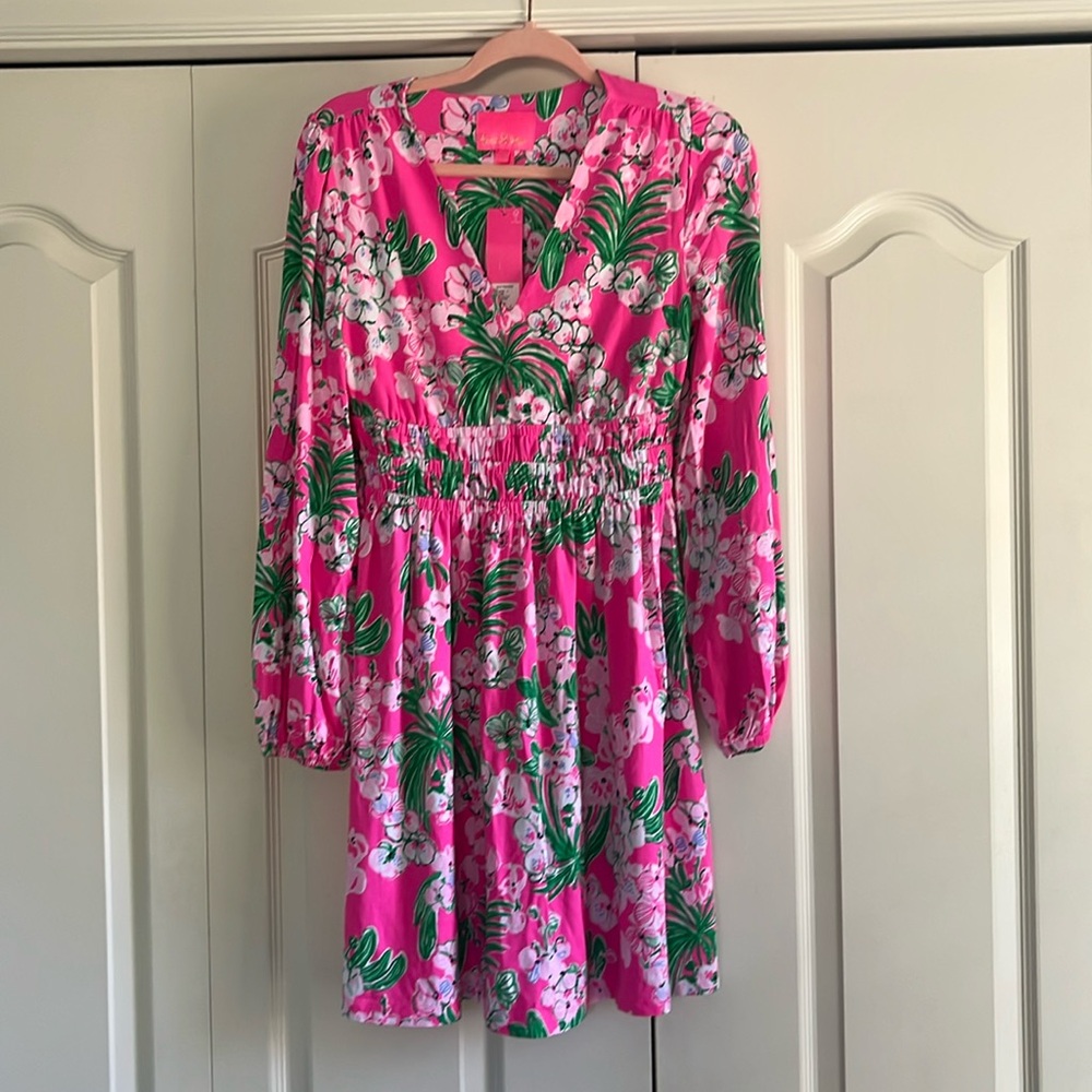 Women’s lilly pulitzer dress